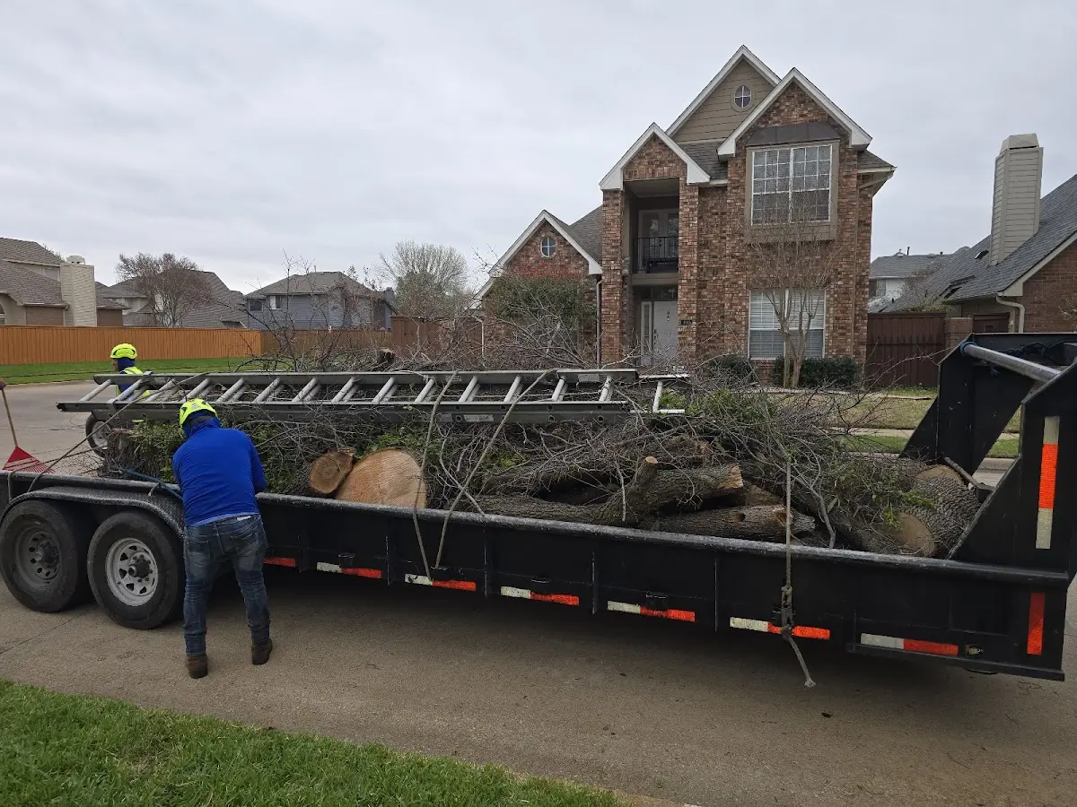 Expert Lot Clearing with proper safety equipment in Brookport